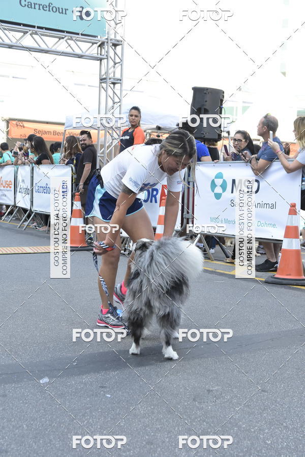 Buy your photos of the event2 Pet Run Shopping Eldorado  on Fotop
