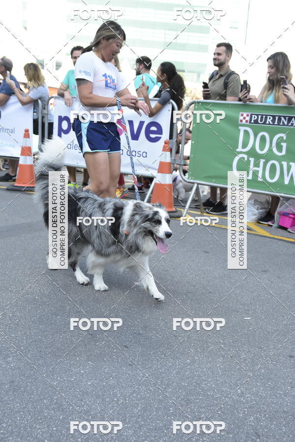 Buy your photos of the event2 Pet Run Shopping Eldorado  on Fotop