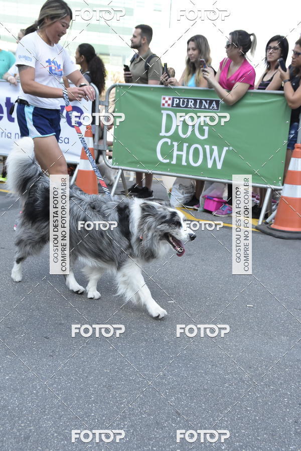 Buy your photos of the event2 Pet Run Shopping Eldorado  on Fotop