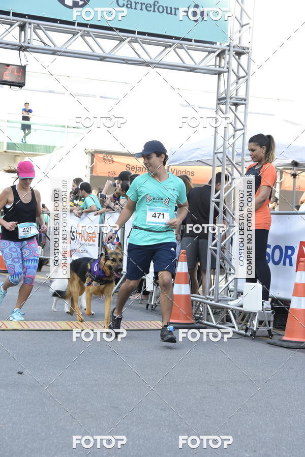 Buy your photos of the event2 Pet Run Shopping Eldorado  on Fotop