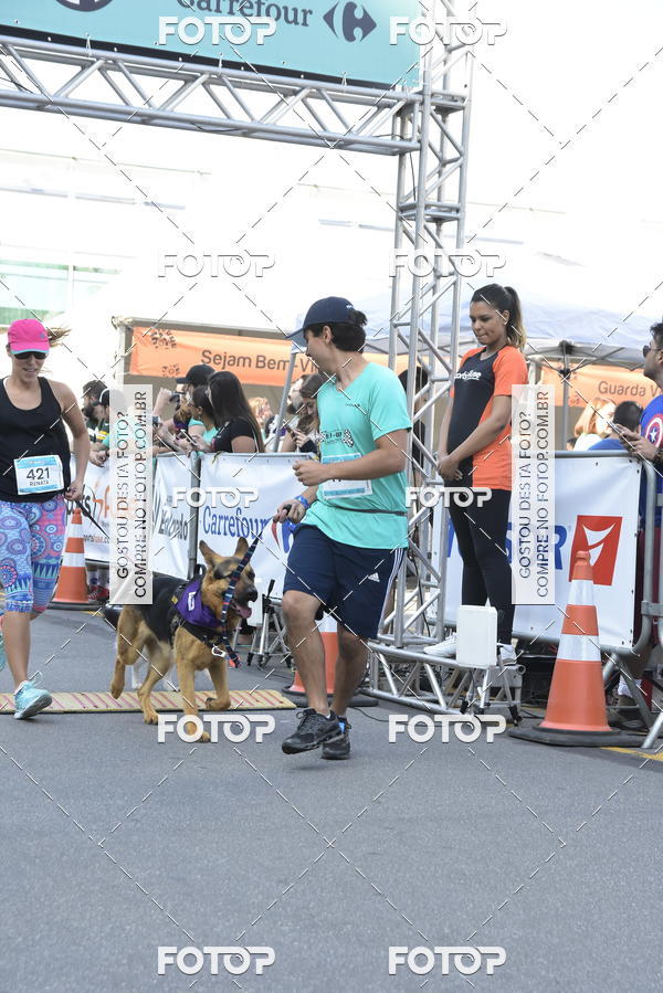 Buy your photos of the event2 Pet Run Shopping Eldorado  on Fotop
