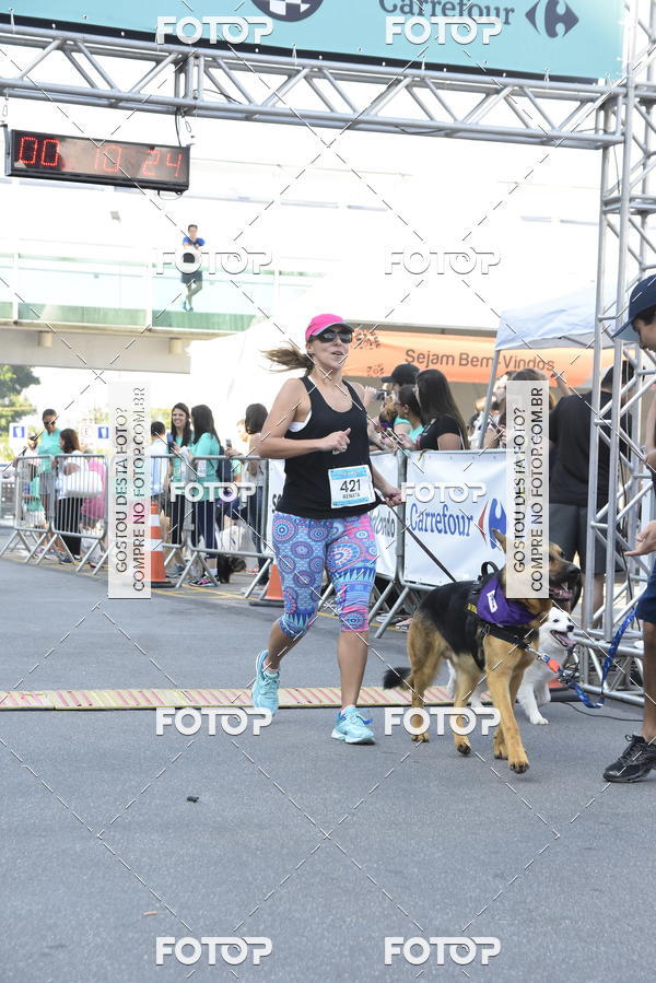 Buy your photos of the event2 Pet Run Shopping Eldorado  on Fotop
