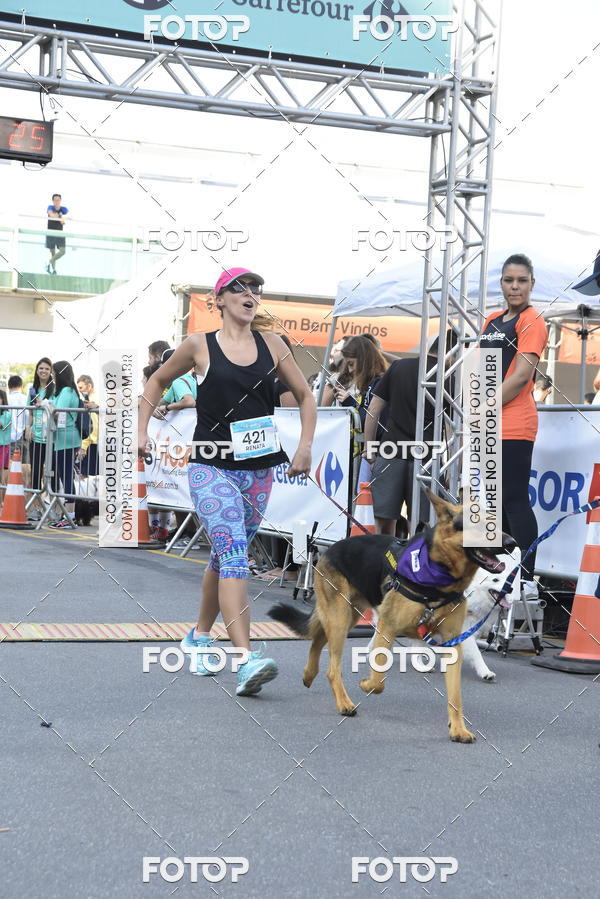 Buy your photos of the event2 Pet Run Shopping Eldorado  on Fotop