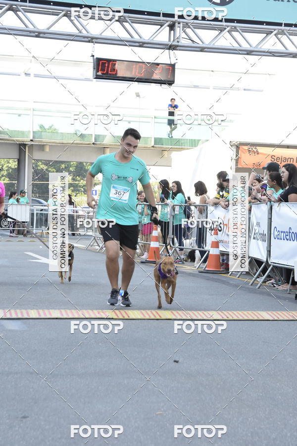 Buy your photos of the event2 Pet Run Shopping Eldorado  on Fotop