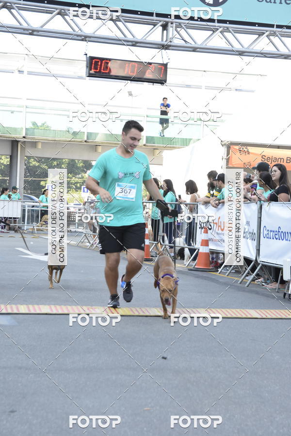 Buy your photos of the event2 Pet Run Shopping Eldorado  on Fotop