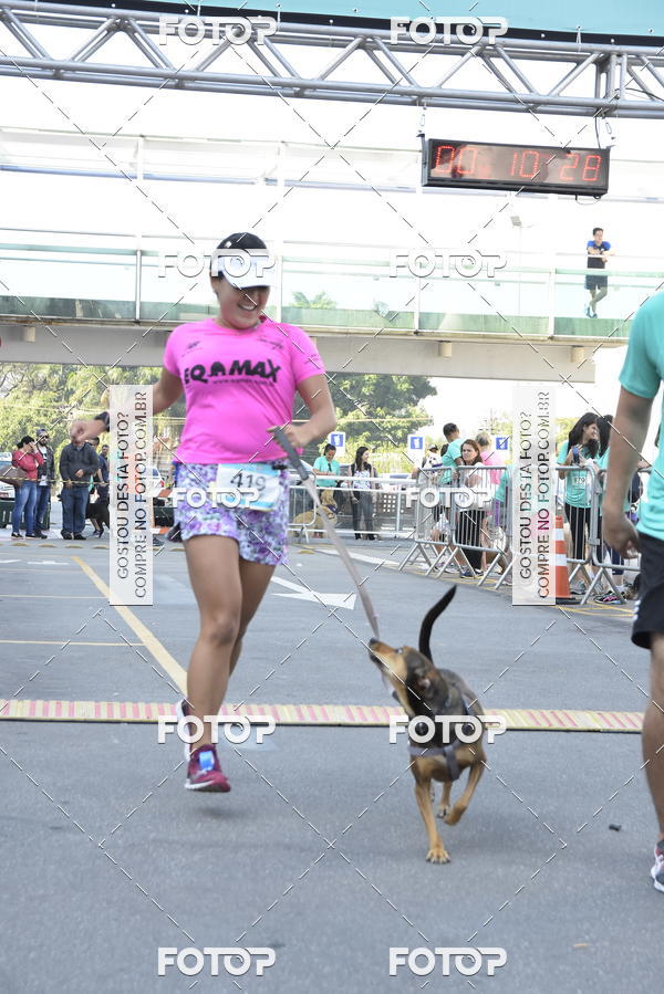 Buy your photos of the event2 Pet Run Shopping Eldorado  on Fotop