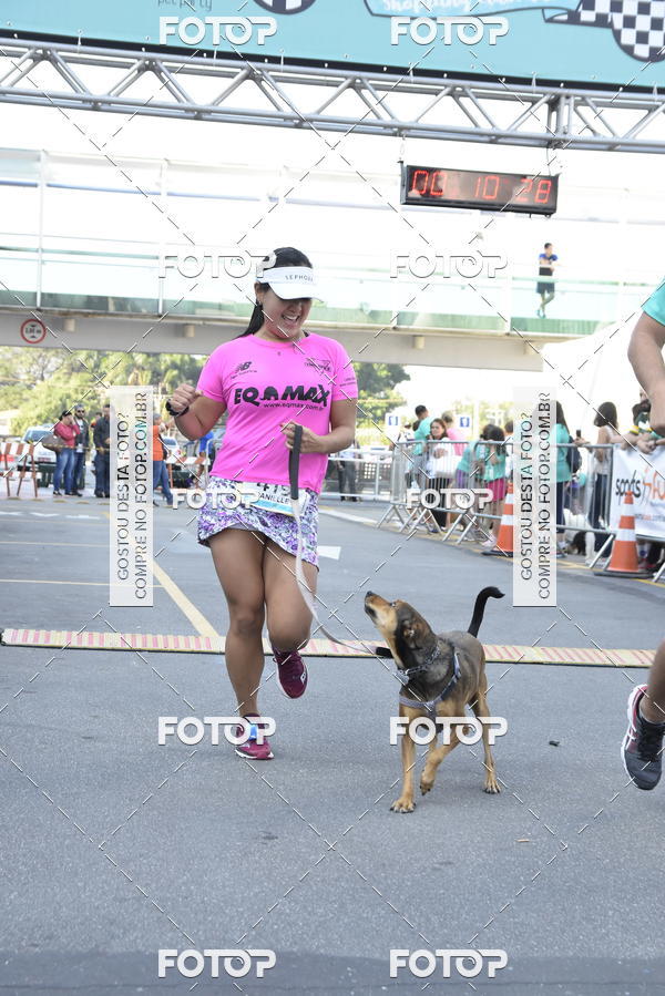Buy your photos of the event2 Pet Run Shopping Eldorado  on Fotop