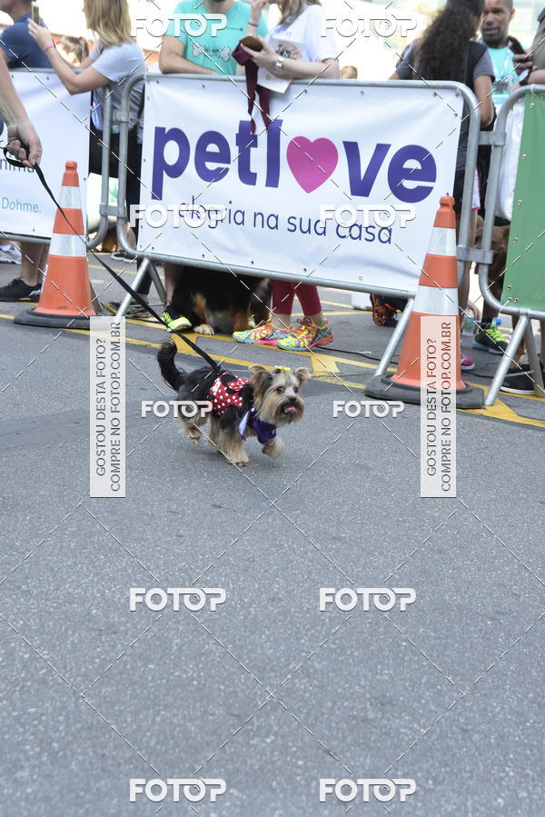 Buy your photos of the event2 Pet Run Shopping Eldorado  on Fotop