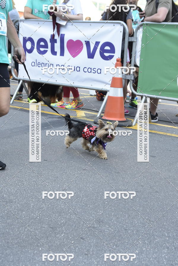 Buy your photos of the event2 Pet Run Shopping Eldorado  on Fotop