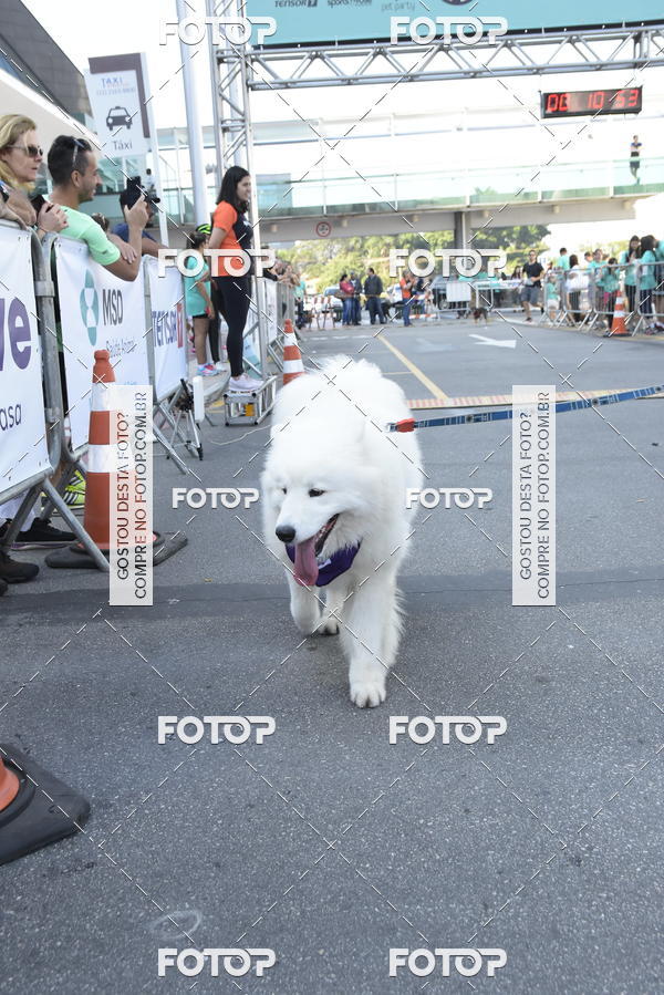 Buy your photos of the event2 Pet Run Shopping Eldorado  on Fotop