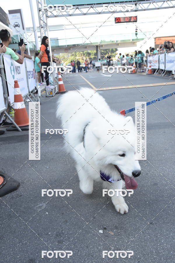 Buy your photos of the event2 Pet Run Shopping Eldorado  on Fotop