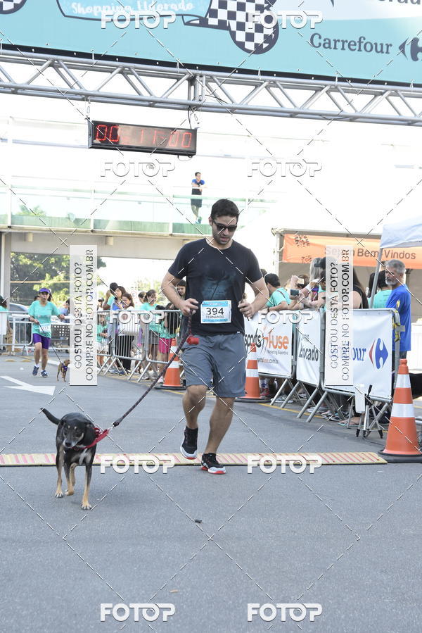 Buy your photos of the event2 Pet Run Shopping Eldorado  on Fotop