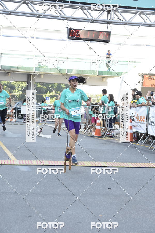 Buy your photos of the event2 Pet Run Shopping Eldorado  on Fotop