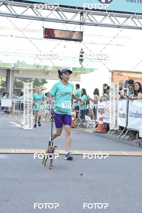 Buy your photos of the event2 Pet Run Shopping Eldorado  on Fotop