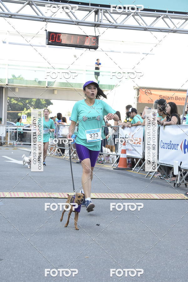 Buy your photos of the event2 Pet Run Shopping Eldorado  on Fotop