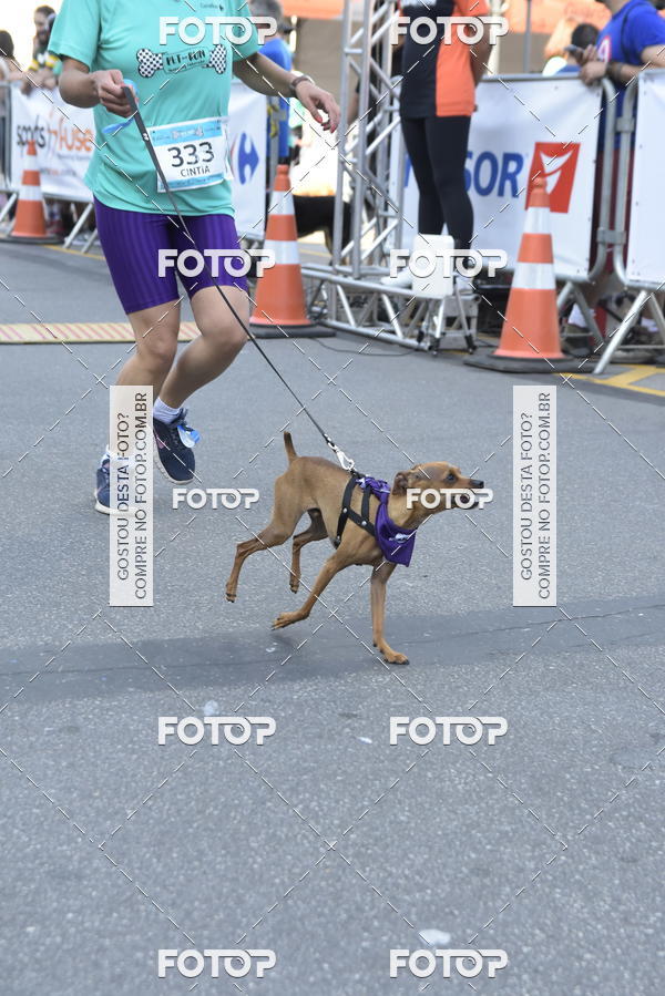 Buy your photos of the event2 Pet Run Shopping Eldorado  on Fotop