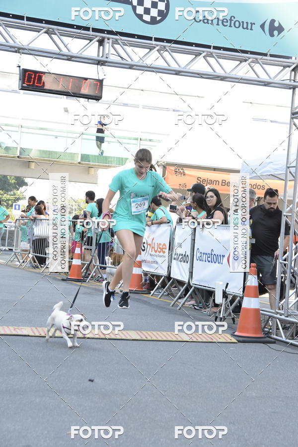 Buy your photos of the event2 Pet Run Shopping Eldorado  on Fotop