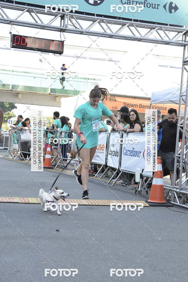 Buy your photos of the event2 Pet Run Shopping Eldorado  on Fotop