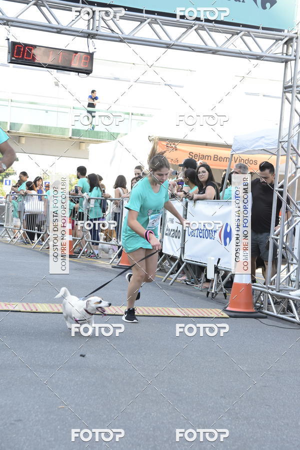 Buy your photos of the event2 Pet Run Shopping Eldorado  on Fotop