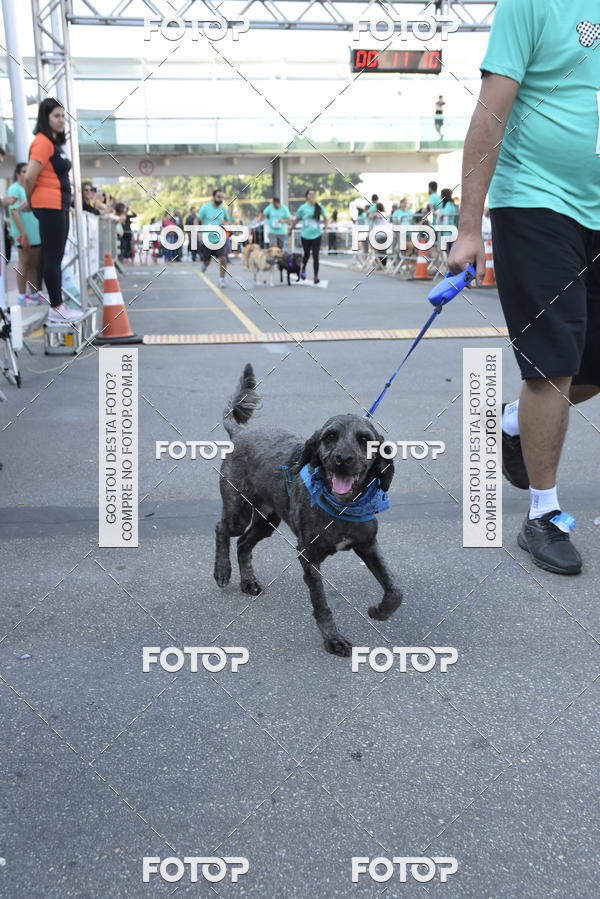 Buy your photos of the event2 Pet Run Shopping Eldorado  on Fotop