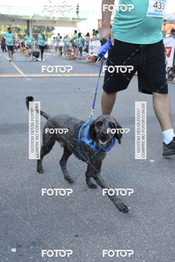 Buy your photos of the event2 Pet Run Shopping Eldorado  on Fotop