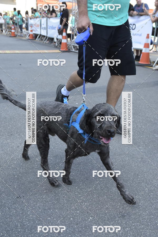 Buy your photos of the event2 Pet Run Shopping Eldorado  on Fotop