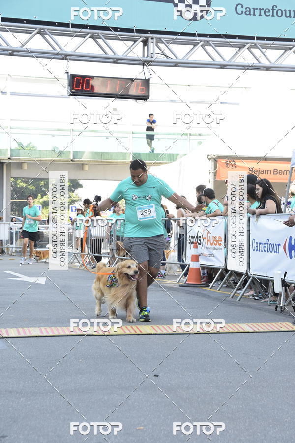 Buy your photos of the event2 Pet Run Shopping Eldorado  on Fotop