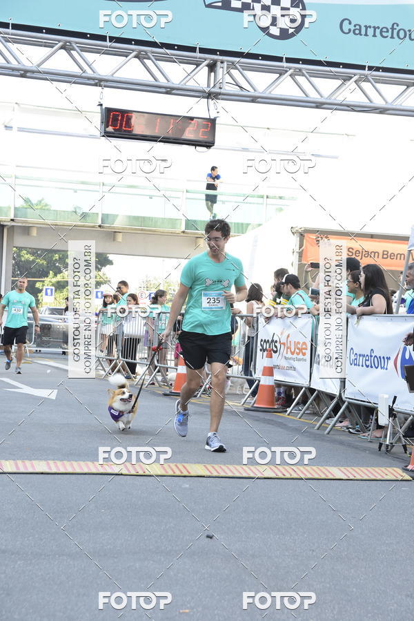 Buy your photos of the event2 Pet Run Shopping Eldorado  on Fotop