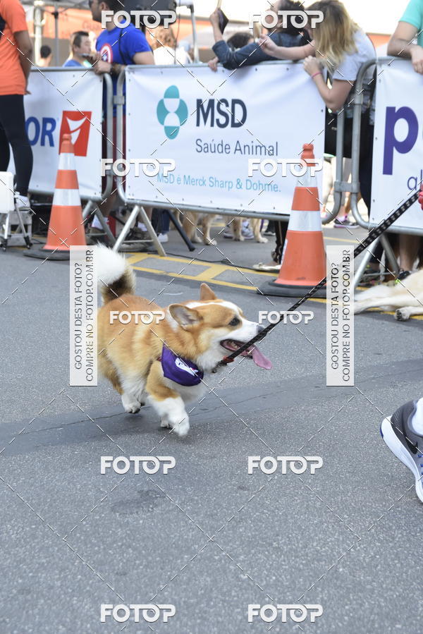 Buy your photos of the event2 Pet Run Shopping Eldorado  on Fotop