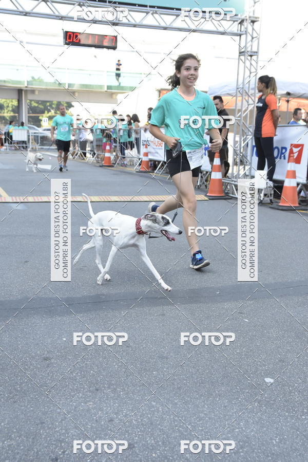 Buy your photos of the event2 Pet Run Shopping Eldorado  on Fotop