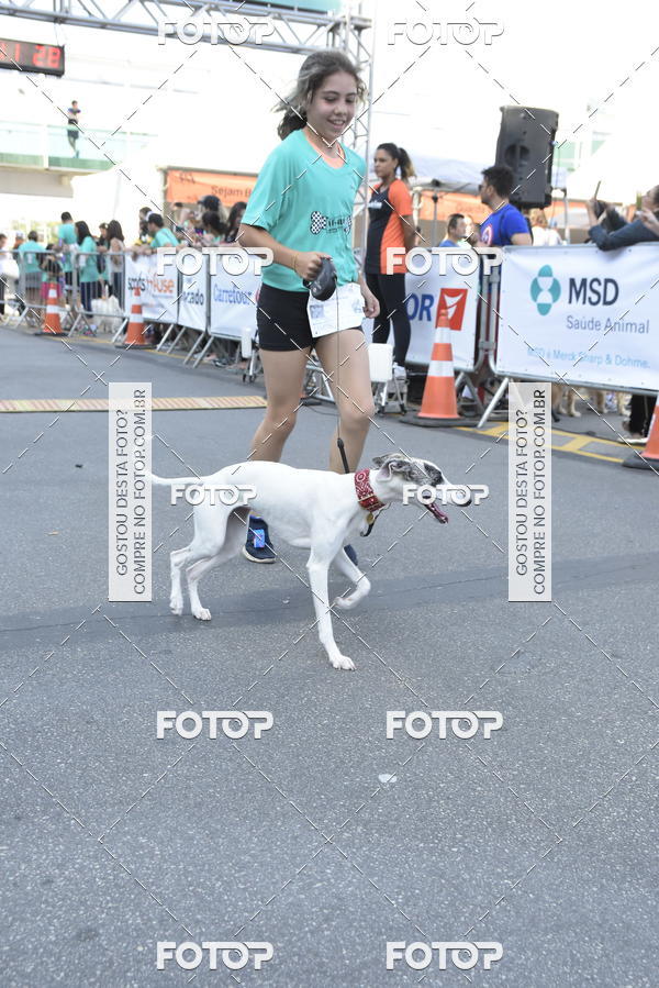 Buy your photos of the event2 Pet Run Shopping Eldorado  on Fotop