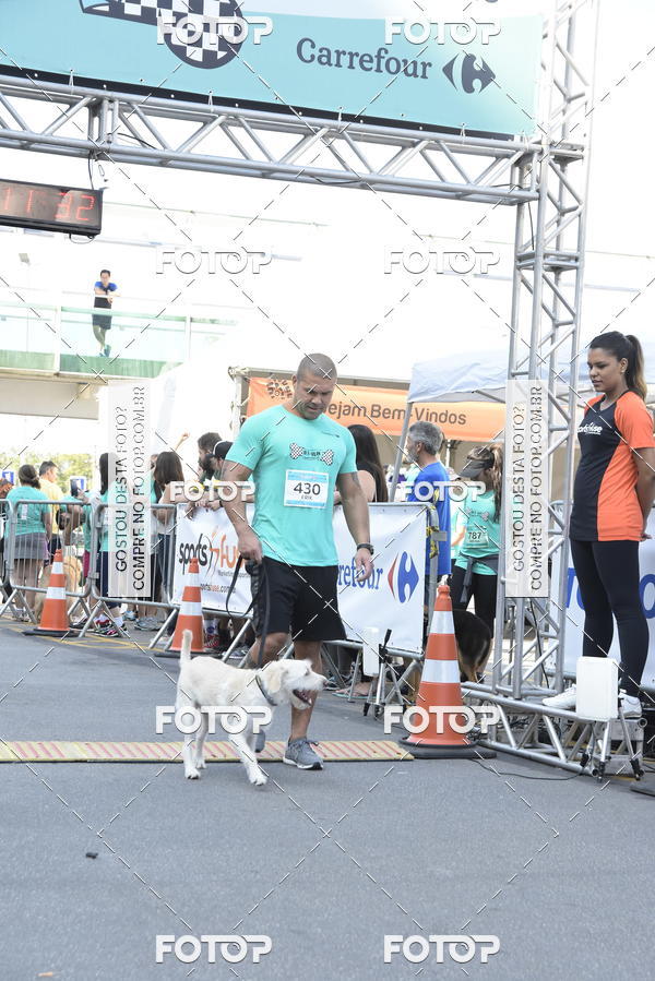 Buy your photos of the event2 Pet Run Shopping Eldorado  on Fotop