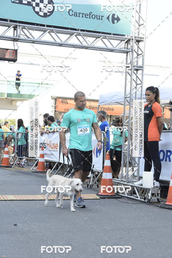 Buy your photos of the event2 Pet Run Shopping Eldorado  on Fotop