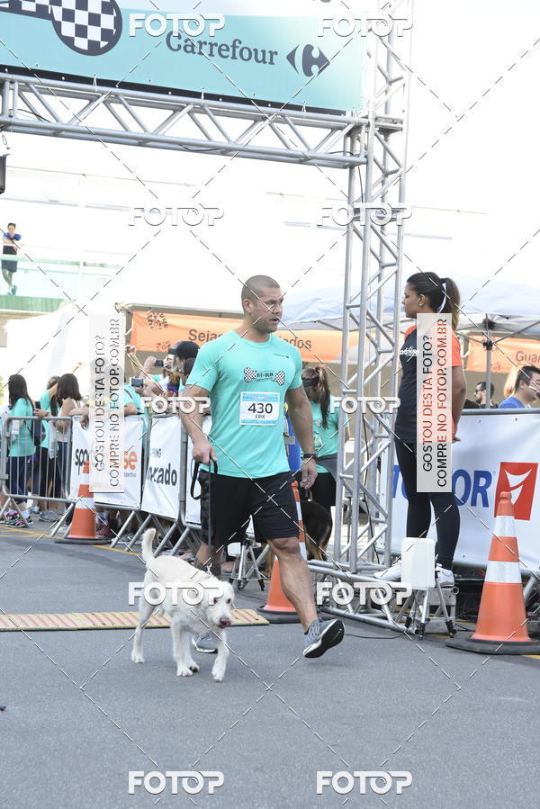 Buy your photos of the event2 Pet Run Shopping Eldorado  on Fotop