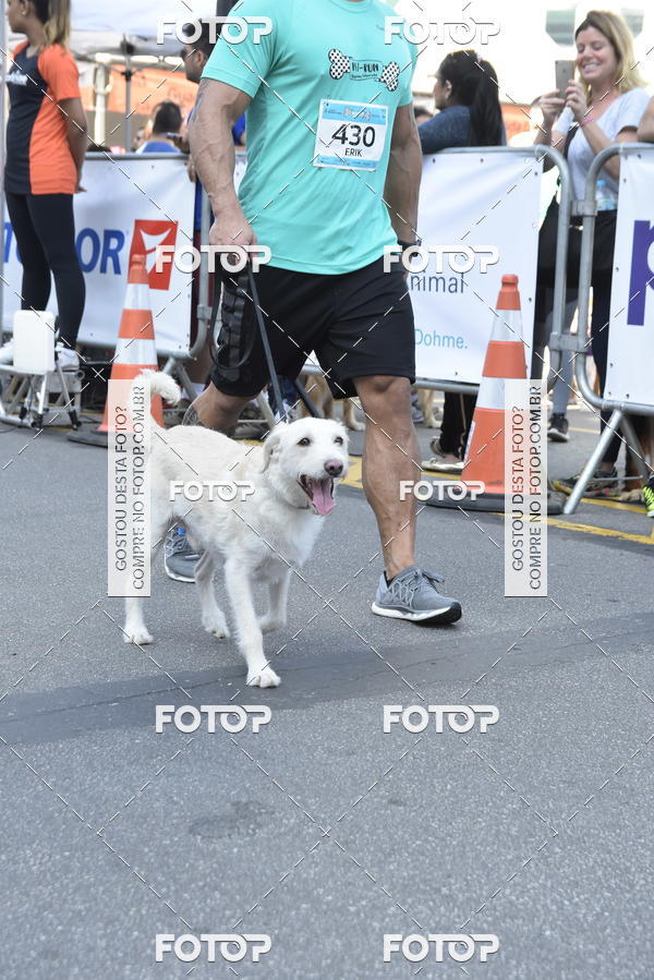 Buy your photos of the event2 Pet Run Shopping Eldorado  on Fotop