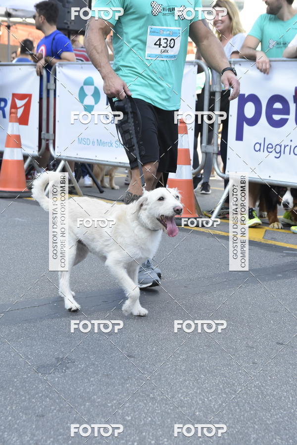 Buy your photos of the event2 Pet Run Shopping Eldorado  on Fotop