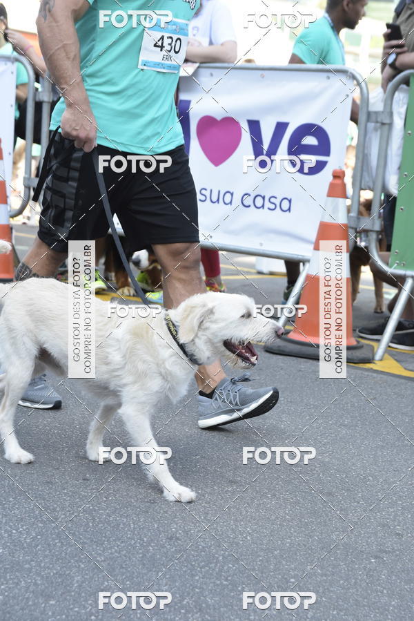 Buy your photos of the event2 Pet Run Shopping Eldorado  on Fotop