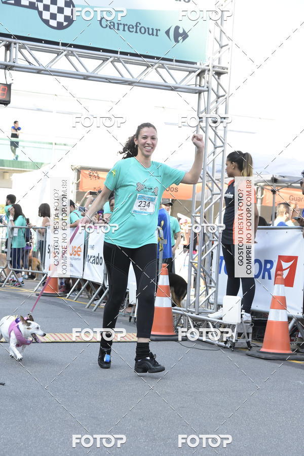 Buy your photos of the event2 Pet Run Shopping Eldorado  on Fotop