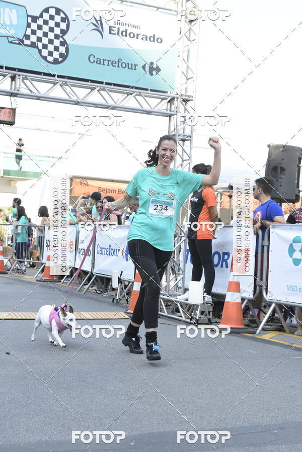 Buy your photos of the event2 Pet Run Shopping Eldorado  on Fotop