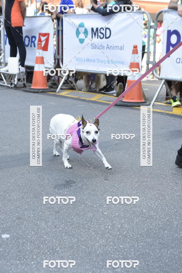 Buy your photos of the event2 Pet Run Shopping Eldorado  on Fotop