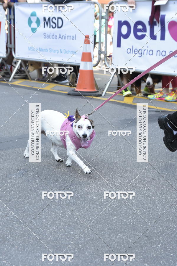 Buy your photos of the event2 Pet Run Shopping Eldorado  on Fotop