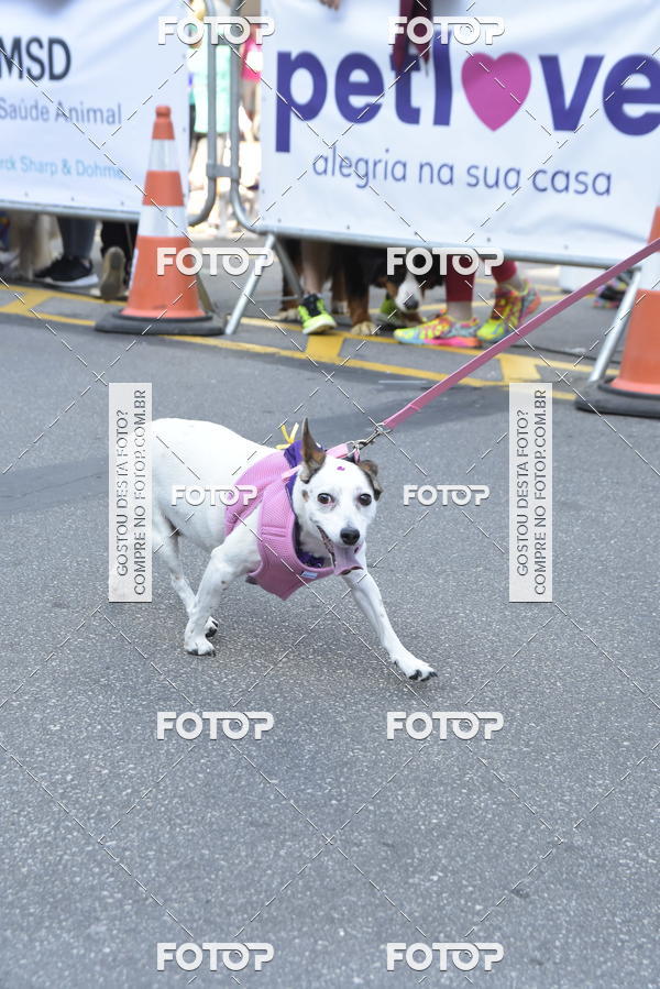 Buy your photos of the event2 Pet Run Shopping Eldorado  on Fotop