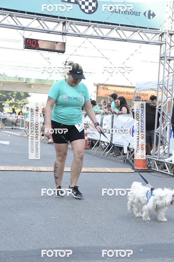 Buy your photos of the event2 Pet Run Shopping Eldorado  on Fotop