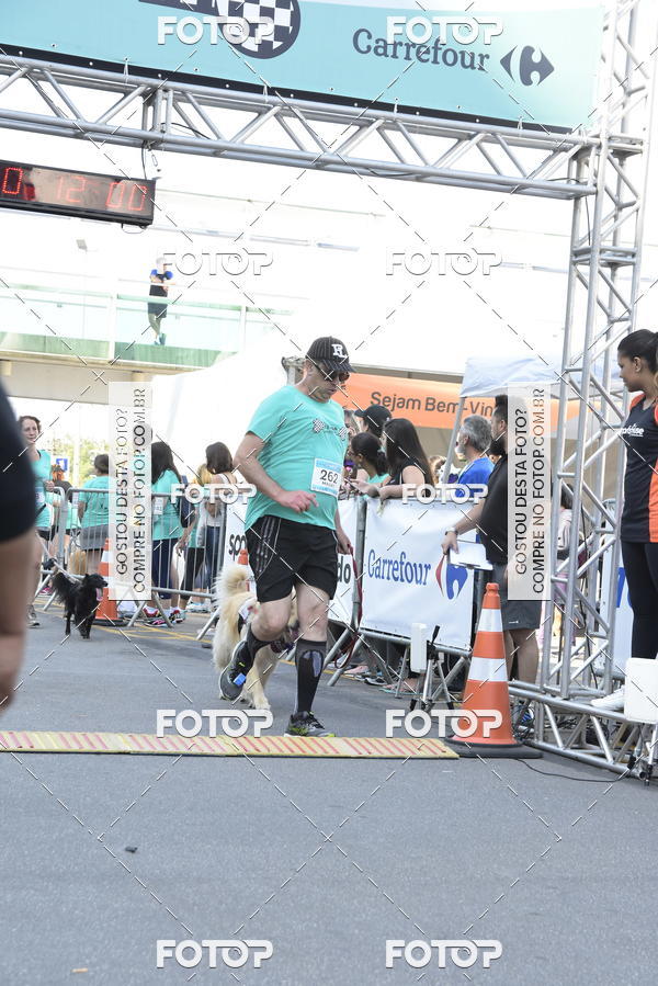 Buy your photos of the event2 Pet Run Shopping Eldorado  on Fotop