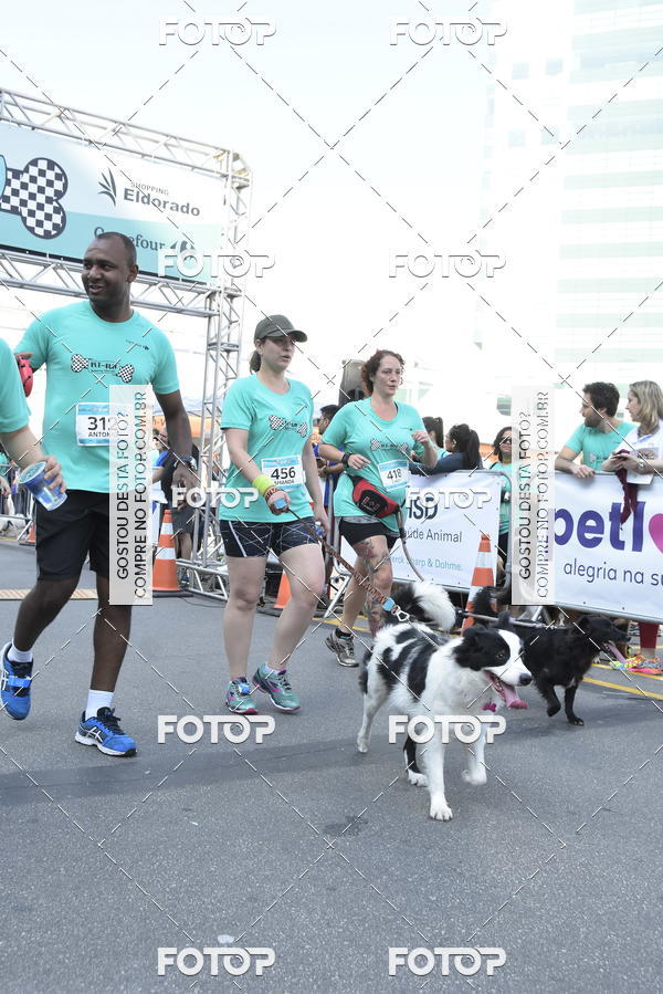 Buy your photos of the event2 Pet Run Shopping Eldorado  on Fotop