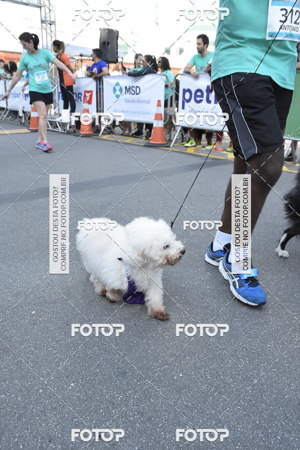 Buy your photos of the event2 Pet Run Shopping Eldorado  on Fotop