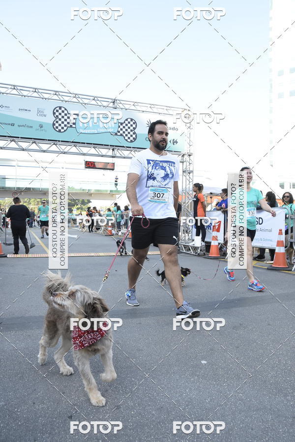 Buy your photos of the event2 Pet Run Shopping Eldorado  on Fotop