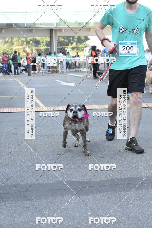 Buy your photos of the event2 Pet Run Shopping Eldorado  on Fotop
