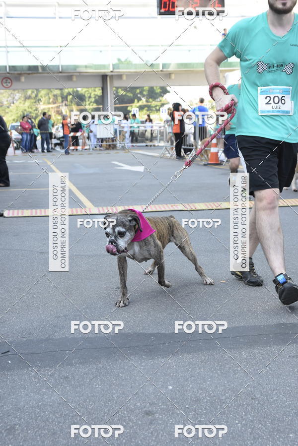 Buy your photos of the event2 Pet Run Shopping Eldorado  on Fotop