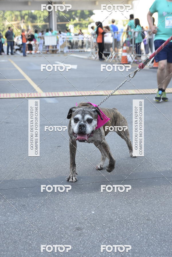 Buy your photos of the event2 Pet Run Shopping Eldorado  on Fotop